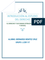 Bernardo Benitez Cruz- Derecho, Pueblico, Privado y Social