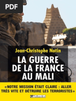 La Guerre De La France Au Mali Mali Conflit Arme