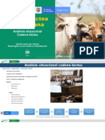 DT AnalSitLecheLarga AndreaGonzalez PDF