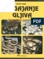 Zlatko-Lisjak-Uzgajanje-gljiva.pdf