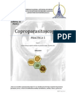 2752-P5P- COPROPARASITOSCOPICO