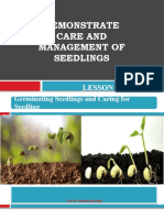 Demonstrate Care and Management of Seedlings: Lesson 3