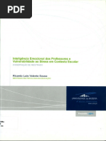 MestradoRicardoSousa