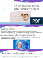 Efecto de los tóxicos sobre el aparato cardiovascular.pptx