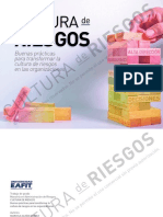 Cultura de Riesgos 2020 PDF