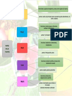 Esquema PDF