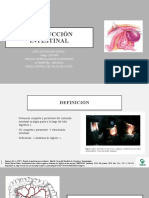 Obstrucción Intestinal Rosales