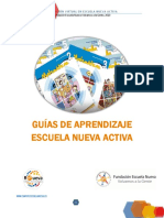 Estructura Metodológica Guías ENA ED - CM