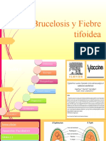 Brucelosis y Fiebre Tifoidea