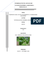 Cultivo Sometido A Estres PDF