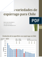 2 Nuevas Variedades de Espárrago para El Mercado Chileno Maria Ines Gonzalez