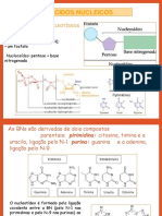Ácidos Nucleicos Part 1 PDF