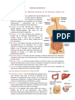 SESIÓN 10 FISIOLOGIA (SISTEMA DIGESTIVO)2