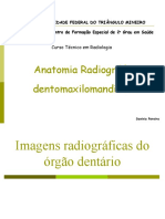 Anatomia Radiográfica dos Órgãos Dentários