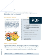 LECCIÓN APRENDIDA Picadura de Abejas PDF