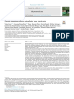 Uncaria Tomentosa Reduces Osteoclastic Bone Loss in Vivo: Phytomedicine