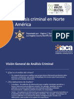 0 Virginia Bustos IACA PP Analisis Criminal VF