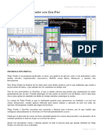 ManualNinjatrader.pdf