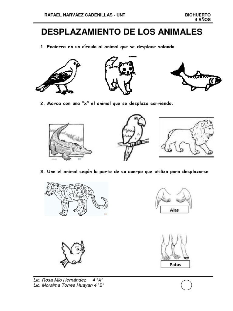 Desplazamiento de Los Animales Corren y Vuelan | PDF