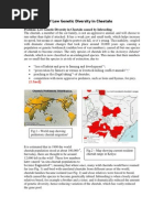 Download Cheetahmarks by Alan Taylor SN48709925 doc pdf