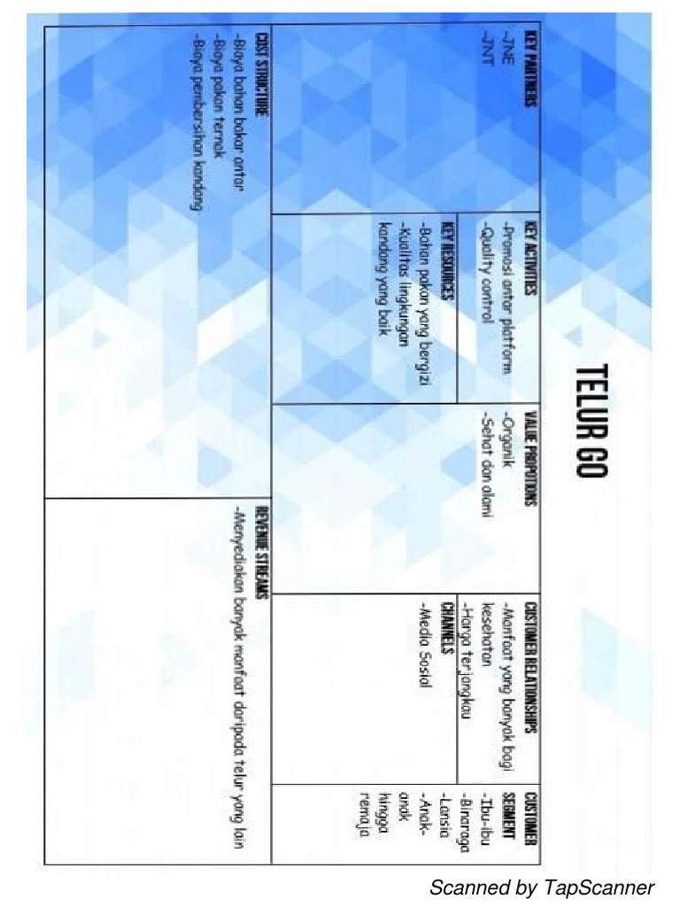 TapScanner Document Scan Overview | PDF
