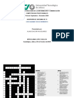 Ingeniero en TIC: Auditoría de Sistemas y Crucigrama