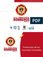 Prevencion de Incendios Forestales