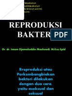 Reproduksi Bakteri