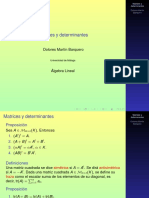 TEMA 1 - Matrices y Determinantes PDF
