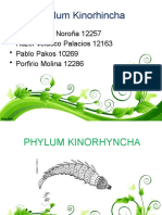 Phylum Kinorhyncha