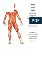 Anatomia muschi.docx