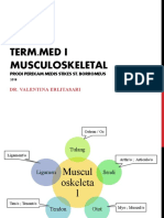 TERM.MED I MUSCULOSKELETAL: STRUKTUR DAN FUNGSI SISTEM SKELETAL