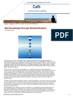Self-Knowledge Through Disidentification (Printer-Friendly)