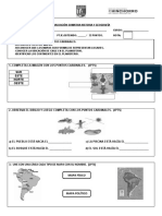 Evaluación Sumativa Historia y Geografía (Octubre) Pandemia 2020