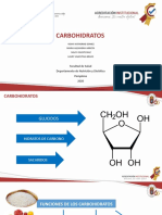 Carbohidratos 100