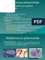 LP 6 bacteriologie. Pneumococ, meningococ, gonococ, Bacil difteric, BK.pptx
