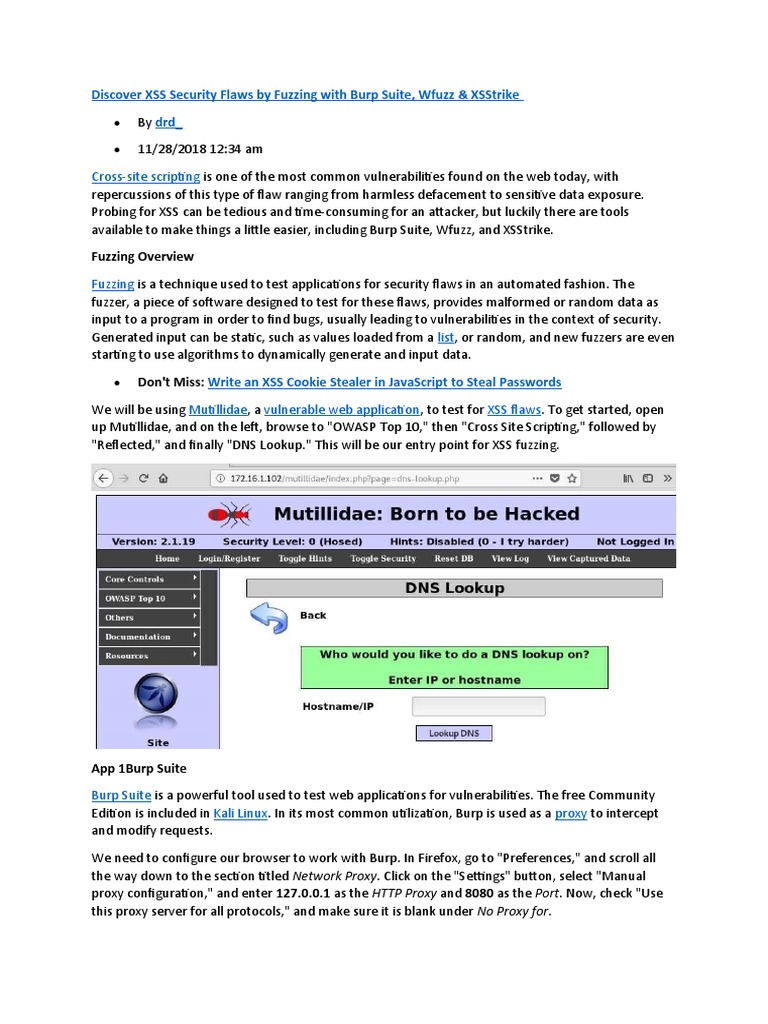XSS Vulnerability Testing Guide | PDF | Proxy Server | World Wide Web