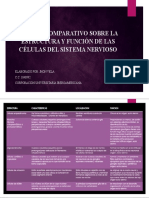 Cuadro Comparativo Sobre La Estructura y Función de Las Células Del Sistema Nervioso