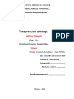 Proiect Tehnologic - Sistemul - Endocrin - 10.10.2020