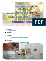 Fisio Veg Infografia PDF
