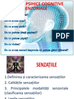 3 Senzațiile