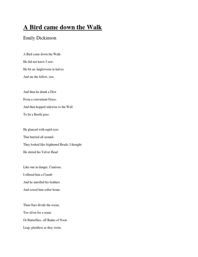 A Bird Came Down The Walk by Emily Dickinson PDF