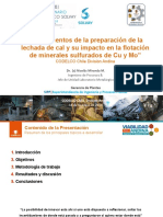 05 Fundamentos de La Preparación de Lechada y Su Impacto en La Flotación de Minerales Sulfurados de Cu y Mo