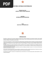 Informe Sistema de Informacion PDF