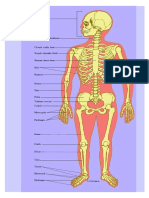 Anatomy Practical 