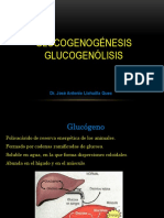 11-glucogenoge_y_glucogenolisis_2020
