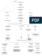 Pathway CKD