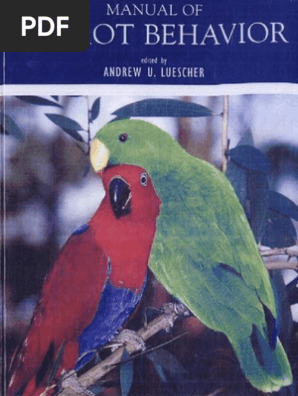 Manual Of Parrot Behavior Parrot Beak