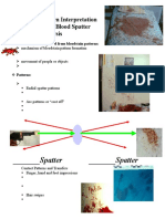 Spatter - Spatter: Bloodstain Pattern Interpretation AKA Blood Spatter Analysis