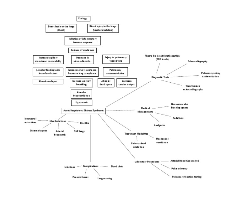 ARDS Concept Map | PDF | Lung | Organ (Anatomy)